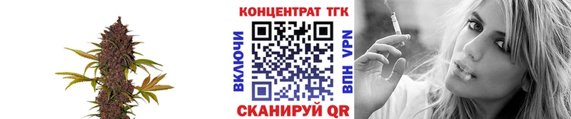 продажа наркотиков  Фрязино  Дистиллят ТГК THC oil 