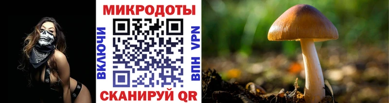как найти закладки  Фрязино  Галлюциногенные грибы прущие грибы 