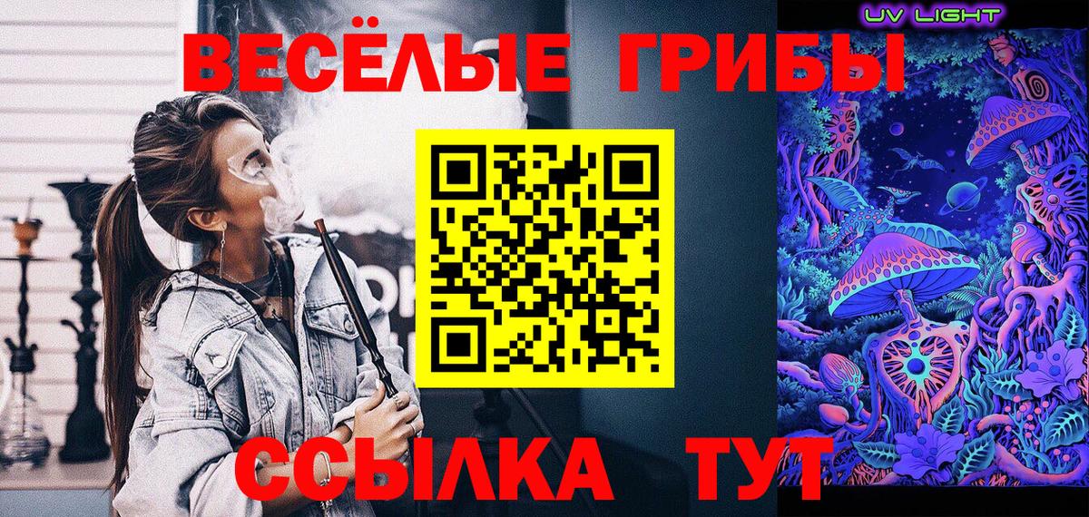 Фрязино  Псилоцибиновые грибы Cubensis  Вход с VPN 