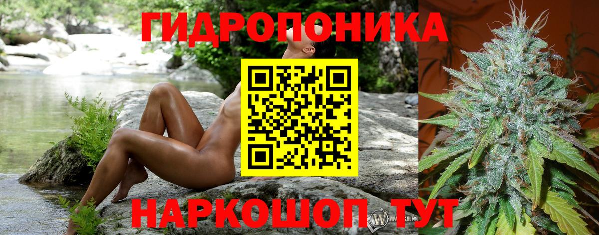 Канабис Ganja  Бошки марихуана LSD WEED  Фрязино  Шишки марихуана Bruce Banner  Вход с VPN  Бошки марихуана SATIVA & INDICA 